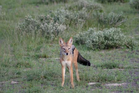 IMG_4539