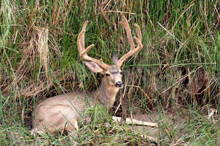 IMG_1213