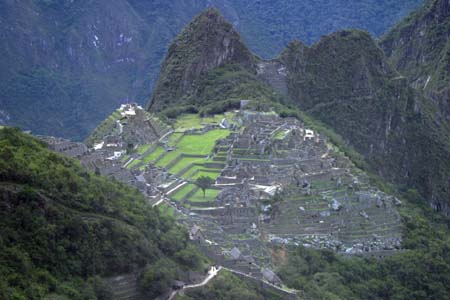 IMG_2386
